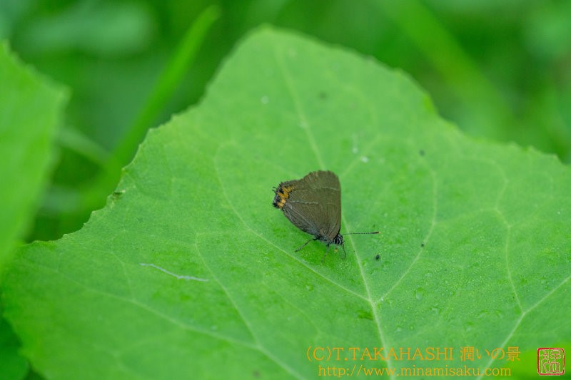 ../Images/7R240723 (66).jpg